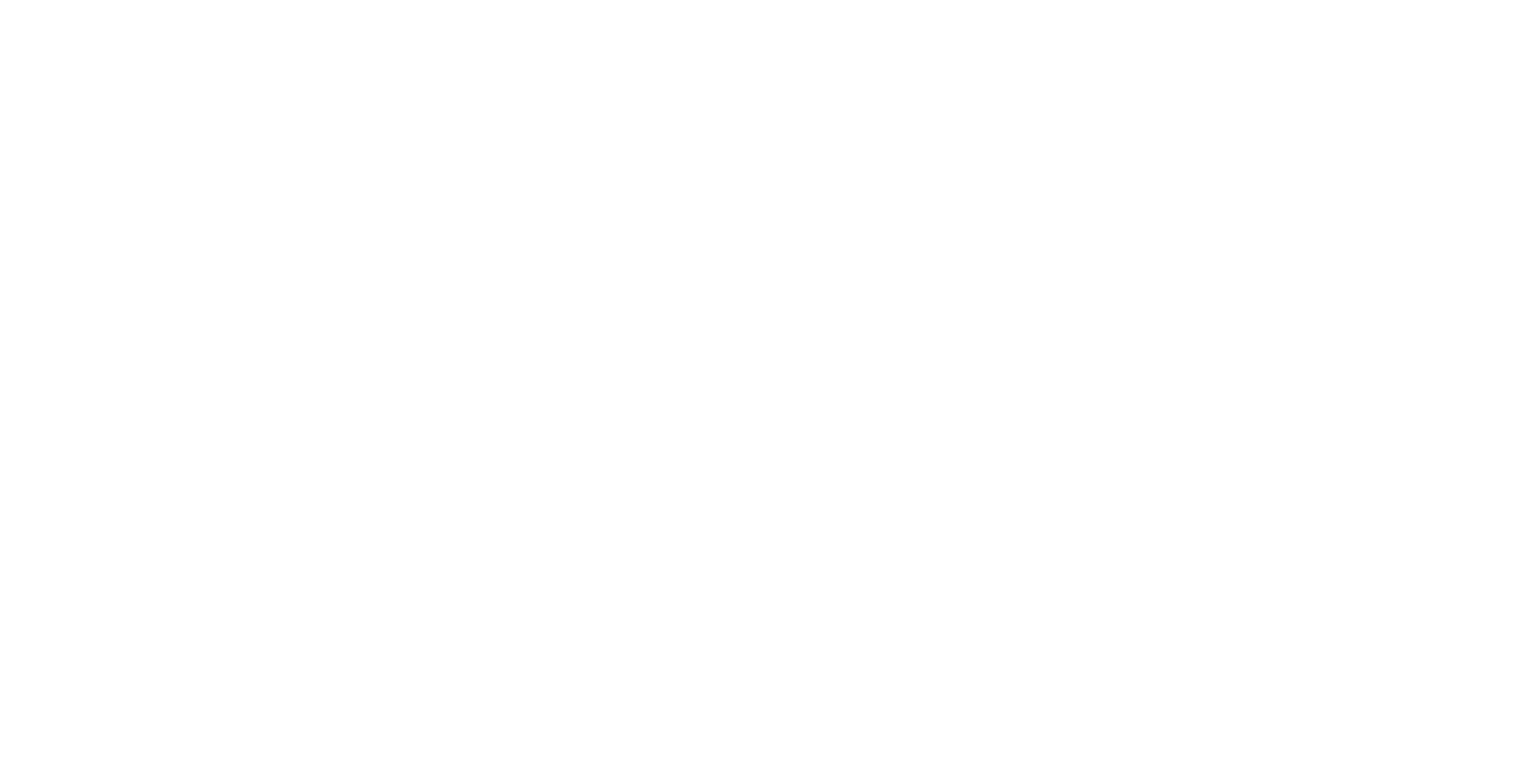 BADBIR Logo